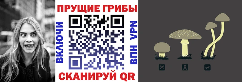 Псилоцибиновые грибы GOLDEN TEACHER  Купить  Нижневартовск 