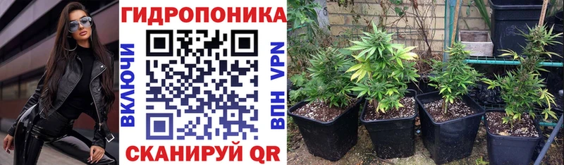 Бошки Шишки семена  Купить  Нижневартовск 